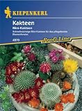 Eigenschaften Kiepenkerl - Blumen-Saatgut  / Mini-Kakteen schnellblühende Arten