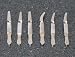 Bull Dog Clamps or Dieffenbach Serrefine Artery Clamps