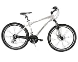 Tony Hawk Rookie Mountain Bike (26-Inch Wheels)