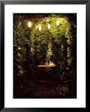Garden Lighting Electric Lanterns Over Arbour Table and Chairs Framed Photographic Poster Print by Michael Howes, 25x31 51pUIp%2B6rcL. SL160 Garden Lighting Electric Lanterns Over Arbour Table and Chairs Framed Photographic Poster Print by Michael Howes, 25x31