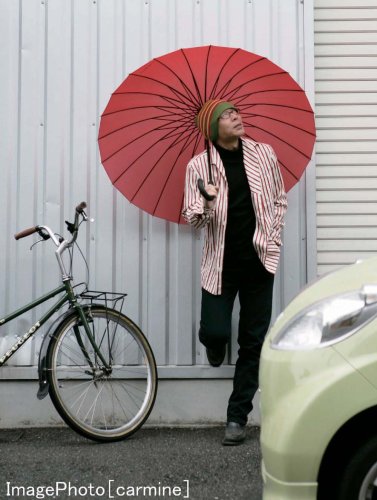 Cover image : MABUベーシック24本骨傘 ショコラ(こげ茶)