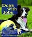 Image of Dogs with Jobs: Über tierische Helfer, Helden und vierbeinige Kollegen