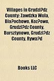 Villages in Grudzi Dz County: Zawdzka Wola, Bia Ochowo, Rog No, Kuyavian-Pomeranian Voivodeship, Koz Owo, Grudzi Dz County, Bursztynowo-