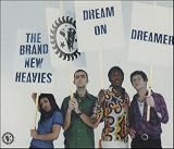 Brand New Heavies, The - Dream On Dreamer. SCARCE CD. VGC. BNHCD 3. 042285738520.