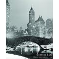 New York Poster - Central Park (16x20")