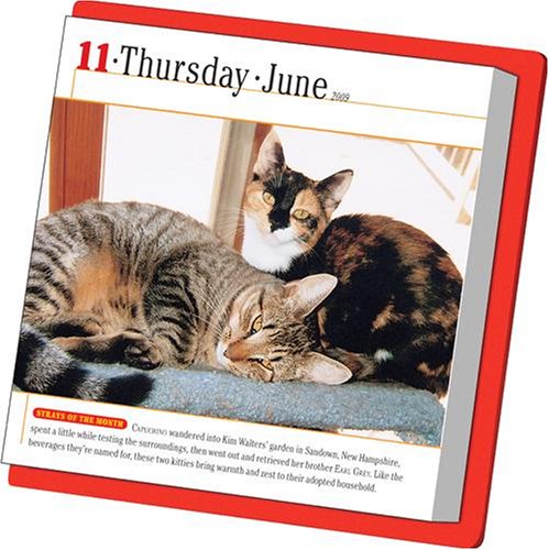 365 Cats Page-A-Day Calendar 2009 (Color Page-A-Day(r) Calendars) under The Books Store