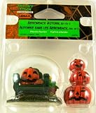Lemax Spooky Town Halloween Adirondack Autumn, Set of 2 52076