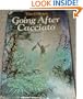 Going After Cacciato: A Novel