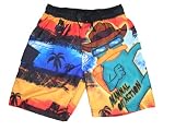 Phineas and Ferb Boys Swim Trunks