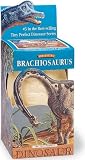 Brachiosaurus: Tiny Perfect Dinosaur Series