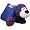 New York Giants