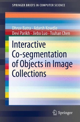 Interactive Co-segmentation of Objects in Image Collections (SpringerBriefs in Computer Science)