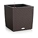 Lechuza 15385 Cube Cottage 40 Self-Watering Garden Planter for Indoor and Outdoor Use, 16