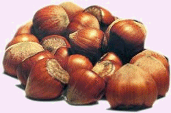 hazelnut flavor extract