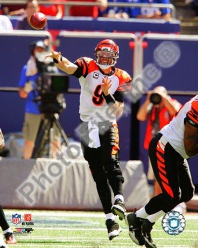 Carson Palmer Action Art Poster PRINT Unknown 8x10