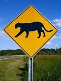 Panther-crossing Road Sign in Florida Everglades National Park. - 24"H x 18"W - Peel and Stick Wall Decal by Wallmonkeys