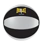 Everlast 6524 Rubber Medicine Ball (12-Pound)