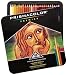 Sanford Prismacolor