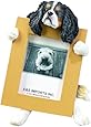 Cavalier King (Tri-Color) Charles Spaniel 2.5" x 3.5" Picture Frame