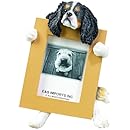 Cavalier King (Tri-Color) Charles Spaniel 2.5" x 3.5" Picture Frame