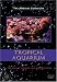 Tropical Aquarium