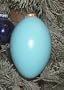 Blue Emu Egg Christmas Ornament