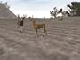 Buckmasters Deer Hunting