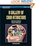 A Gallery of Chua Attractors (World Scientific Series on Nonlinear Science, Series a) (World Scientific Series in Nonlinear Science, Series a)