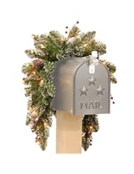 Home: National Tree Glittery Mountain Spruce Mailbox Swag with White Edged Cones and Red Berries, 3-Feet - National Tree