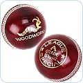 Cricket Balls