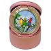 Limited Edition Violano Jewelry Case Travel Alarm Clock Parrot Macaw Bird