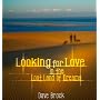 Looking for Love in the Lost Land of Dreams von Dave Brock