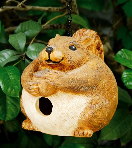 Squirrel Portly Birdhouse