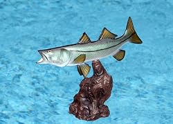 Taxidermy 12" Fiberglass Snook Fish Statue