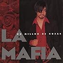 Un Millon De Rosas