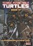 Teenage Mutant Ninja Turtles IV
