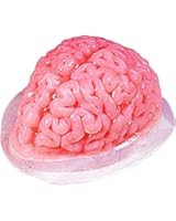 Brain Gelatin Mold Standard