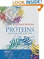 Proteins: Structure and Function