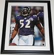 Ray Lewis Autographed Baltimore Ravens 16x20 Photo - Custom Framed