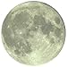 Supertogether Glow in the Dark Bedroom Moon Repositionable Kids Wall Sticker, White
