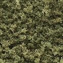 Coarse Turf, Burnt Grass