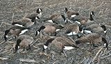 Real Geese Pro Series II Silhouette Goose Decoy