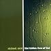 Michael Card