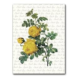 Thank You with Rosa Sulfurea Combo 1 - 5" x 7" Vellum Overlay Greeting Card