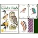 Garden Birds Playing Cards