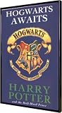 Harry Potter Book Covers 11