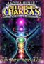 The Illuminated Chakras - A Visionary Voyage into Your Inner World