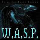  W.A.S.P.