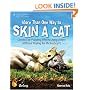 More Than One Way to Skin a Cat: Create Eye-Popping Effects Using Aviary (Without Paying for Photoshop!)