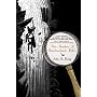 The Shadow of Reichenbach Falls by John R. King